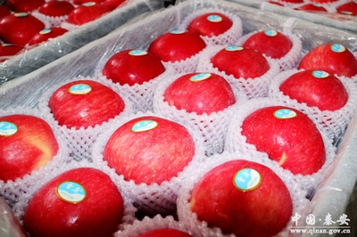 秦安:電子商務成為脫貧攻堅新“引擎”(圖)